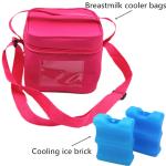 400g Breast Milk Ice Pack