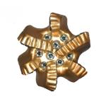Oil Well Drilling Bit 13 inch Matix Body PDC Drill Bit of Pilot Hole Bit ​