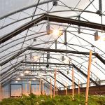 BAOLIDA 100% Shading PE Automated Light Deprivation System 10-100M