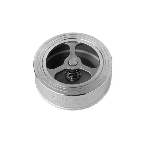 201/304 Stainless Steelpair Clip Lift Check Valve for Water Pump Hard Sealed