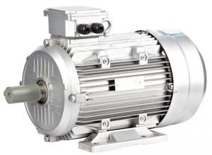 China Three Phase IE2 Motor , Asynchronous Induction Motor 400v 50hz 6 Poles 1HP / 0.75KW factory