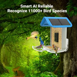 Smart Bird Feeder Squirrel Proof Camera with Solar Panel AI Identify Bird