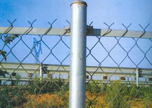 China Green PVC 5 CM X 5 CM Diamond Mesh Fence for Outdoor Protection Fencing factory