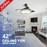 42 Inch Multifunctional Music Hidden Blades Ceiling Fan Light Lighting Solutions