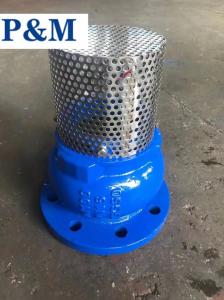 China DN100 PN16 GGG50 cast iron flanged foot valve factory