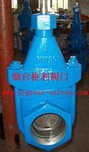 China cast iron clip gate valve factory