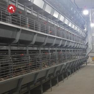China H Type Farm Broiler Chicken Cage Poultry Battery 17 Chicks / Cell factory
