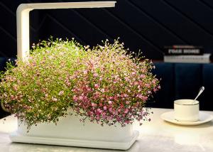 China Decorative 12V 9W PP Home Hydroponic Growing Systems factory