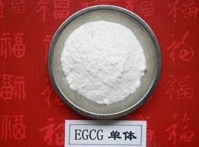 China 100% Natural Green Tea Extract Polyphenols and EGCG 98% powder factory