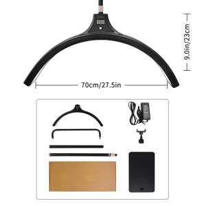 China Daylight 3200k 6500k Moon Shaped Led Fill Light 60watt Spa Beauty Lighting For Nail Tattoo Studio factory