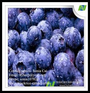 China factory supply pure natural organic bilberry extract,anthocyanidins 25% factory