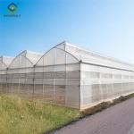OEM Gothic High Tunnel Greenhouse For Planting Tomato Strawberry Lettuce