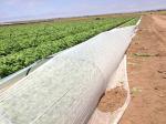 Polyester Polypropylene Non Woven Geotextile For Clothing And Geotechnical