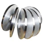 SUS304L Stainless Steel Metal Strip 0.6mm 0.8mm Corrosion Resistance ASTM