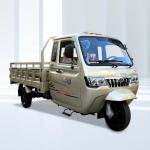 Affordable 250cc Kamax Motorized Tricycles with 5 2 Rear Spring Leafs and 5.0-12
