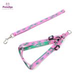 Padded Handle 120cm Nylon Dog Leash For Walking / Training