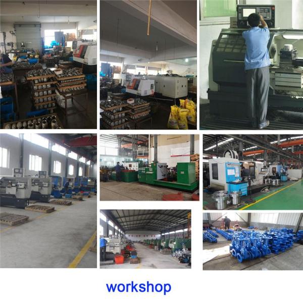 Stainless steel 304 ASME B16.11 high pressure socket weld 3000LB weldolet