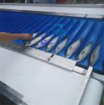 Mackerel Cutting Machine Mackerel cutting machine stainless steel fish