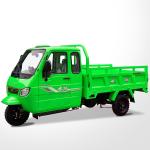 Dayang Tricycle 200cc/250cc/300cc Motorcycle with 5.00-12 Tyre and 1000kg