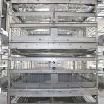 90 - 256 Birds Battery Cage System , Durable Enriched Cages For Laying Hens