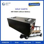 CLF OEM ODM 6000 Cycles LiFePO4 48V 60Ah 100Ah 150Ah 200Ah Cylinder Or Prismatic