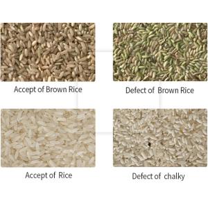 Wenyao CCD Optical Rice Cleaning Color Sorting Machine Cheap Rice Color Sorter