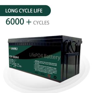 China ASGOFT Solar Energy Lifepo4 12V Lithium Battery Pack 400ah Pack For RV Golf Carts factory