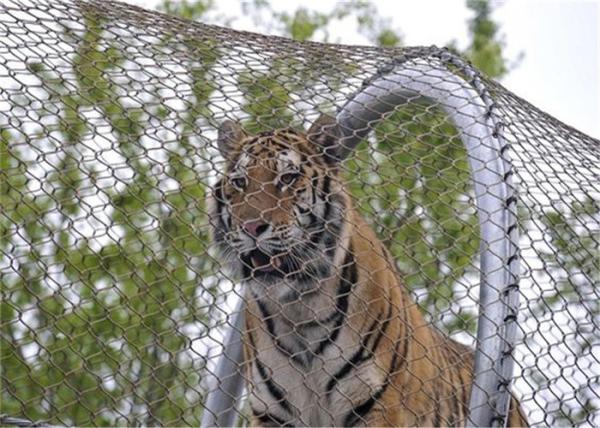 Irregular Shape Ferruled Stainless Steel Zoo Mesh For Tiger Custom Made