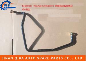 China Wg2203250018 Assembly Gear Box Hw10 Range Stop Forming Hose Assembly (Low Gear) factory