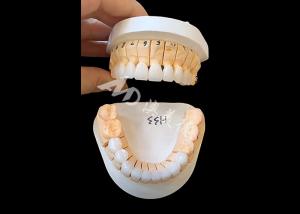 China Enhanced Translucency Zirconia Dental Crown For Single / Multi Unit Fixed Restorations factory