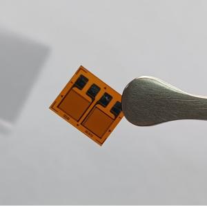 Parrallel Foil Strain Gauge State In Art Sensing Load Cell