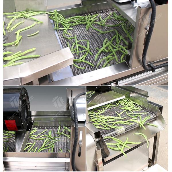 Fruit and vegetable washing and vibrating drying production line Fruit Vegetable FOOD processing production Machine Versatile and Durable Fruit