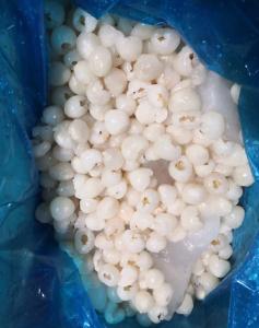 China Crop Fresh Iqf Frozen Lychee Whole factory
