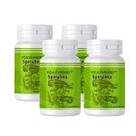 NATURES BOUNTY DAILY SPIRULINA SUPPLEMENTS 1000MG 100 SERVINGS LOSE WEIGHT DIET