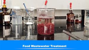 China Food Process Industry 55295 98 2 Wastewater Treatment factory