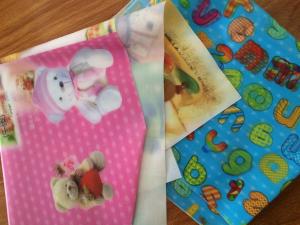 China PLASTIC LENTICULAR soft lenticular printing picture flexible 3d flip zoom morph motion animation lenticular printing factory