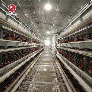China Automatic H Type Layer Chicken Cage Poultry Farming Laying Hens Cage factory
