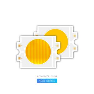 China Dual Color Chip LED 4055 300W +300W Warm + Cool White COB Bi-Color factory