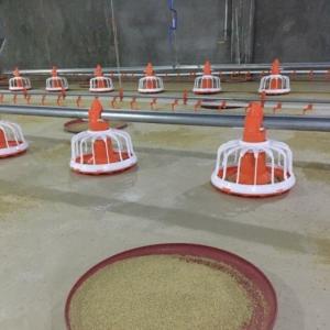 China Hen Chicken Farm Animal Poultry Feeder Drinker Hdg Sheet factory