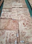 Mappa/Poplar Burl Veneer