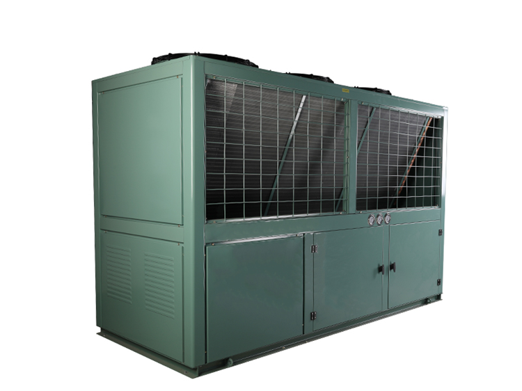 Fin-Type Air-Cooled Condensing Unit with Evaporator | Commercial Cold Storage Refrigeration System"