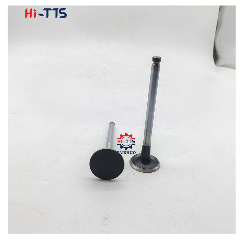 DB58 Valve Intake And Exhaust 65.04101-0025A 65.04104-0047 For Diesel Engines Parts