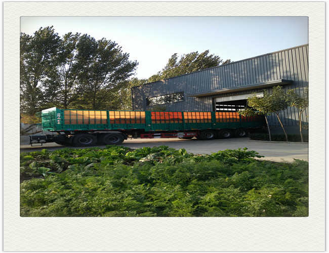 ISO9001 Hot Dipped Galvanized Barbed Wire , Q195 Concertina Razor Coil