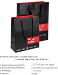 Fashion tote bag, Fashion luxury paper bag, Fashion carrier paper bag, Fashion
