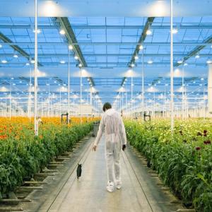 China Adjustable Light Sustainable Steel Film Greenhouse Solar System factory