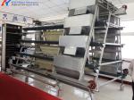 Steel Chicken Layer Cages A Type H Type Automated Battery Cage