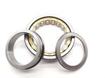 ODM Double Radial Cylindrical Roller Bearing NU1019 95x145x24mm