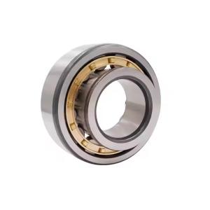 China Full Complement Cylindrical Roller Bearing NJ421 Single Row Bearing on sale