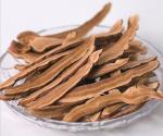 Hot sell reishi mushroom extract ganoderma lucidum extract reishi extract