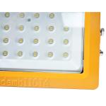 Oil Filed Platform Led Industrial Light Fixture explosion proof fluorescent lamp